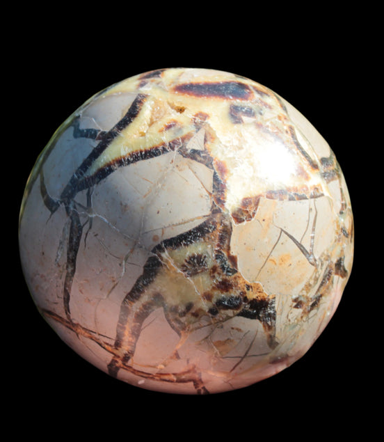 Septarian Dragon Stone sphere 1890g in sunlight -  Rocks and Things Store