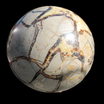 Septarian Dragon Stone sphere 1890g in sunlight -  Rocks and Things Store