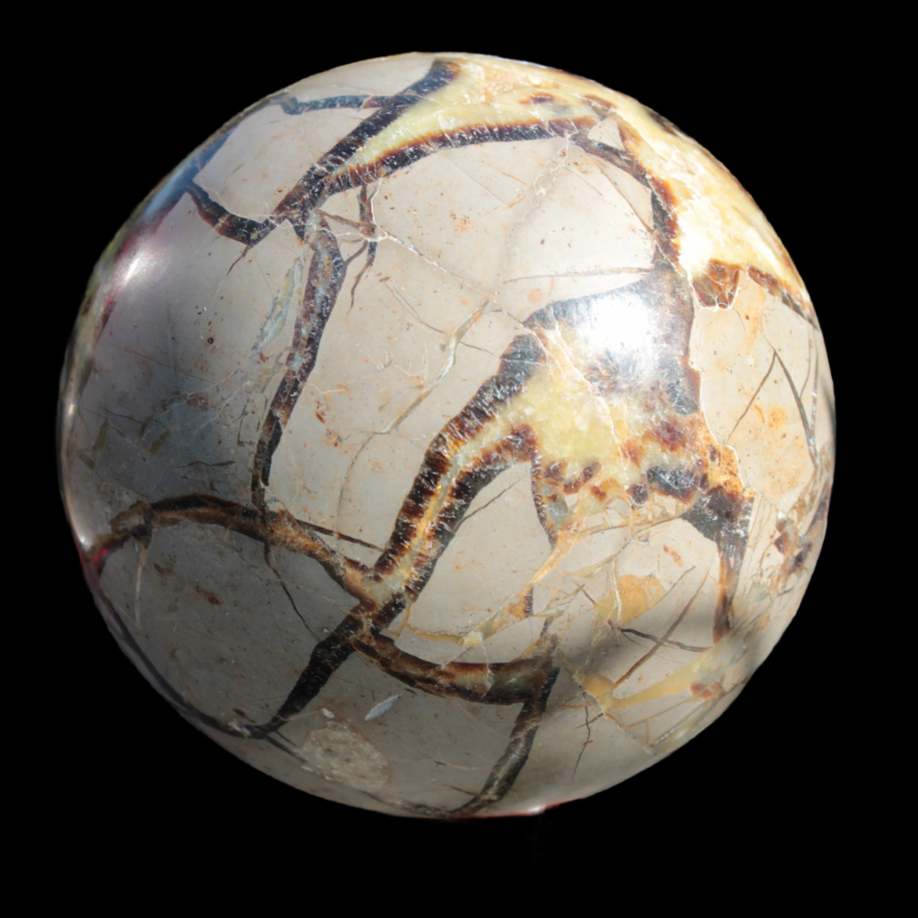 Septarian Dragon Stone sphere 1890g in sunlight -  Rocks and Things Store