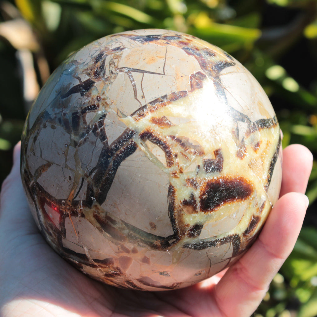 Septarian Dragon Stone sphere 1890g SALE Rocks and Things