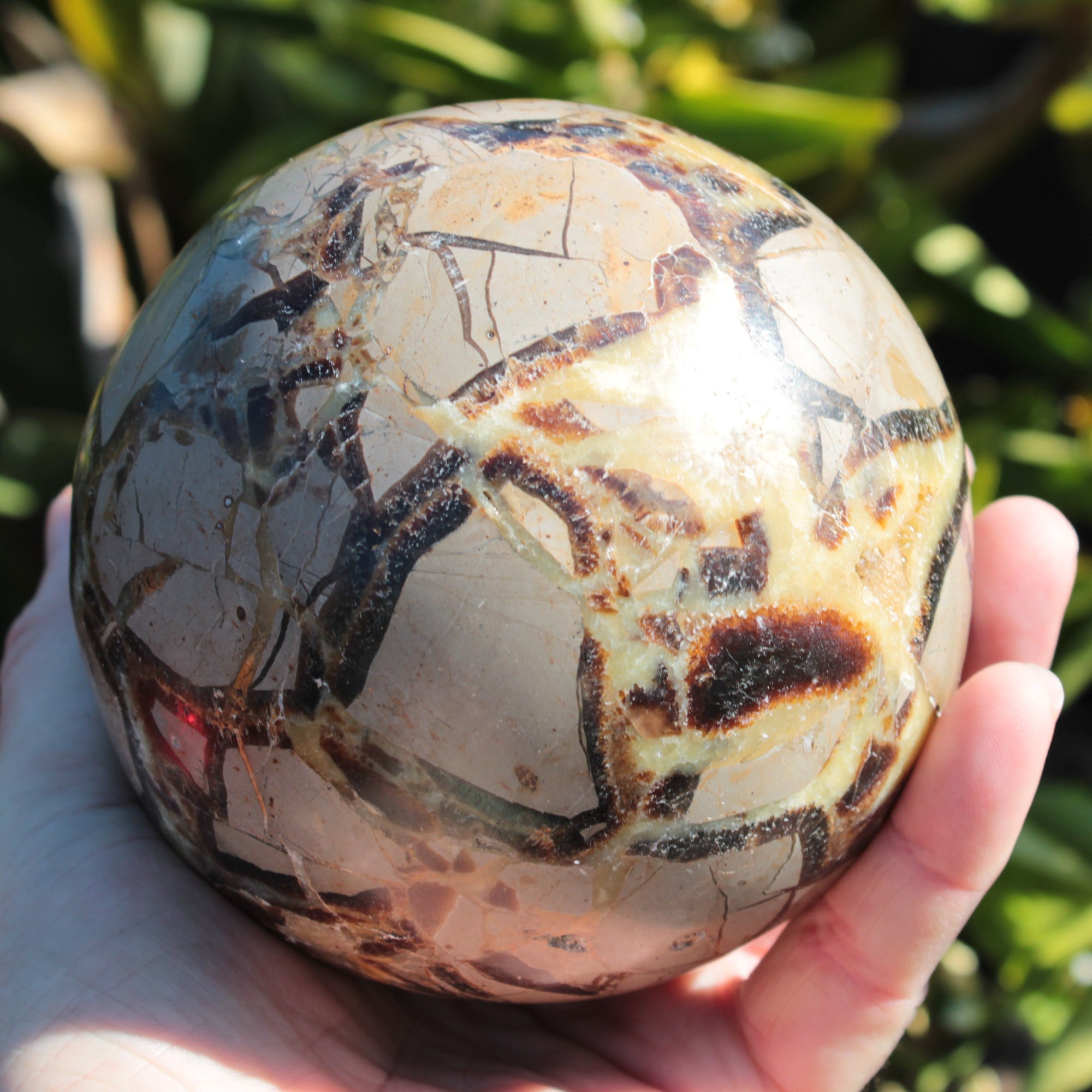 Septarian Dragon Stone sphere 1890g SALE Rocks and Things