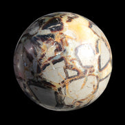Septarian Dragon Stone sphere 1890g in sunlight -  Rocks and Things Store