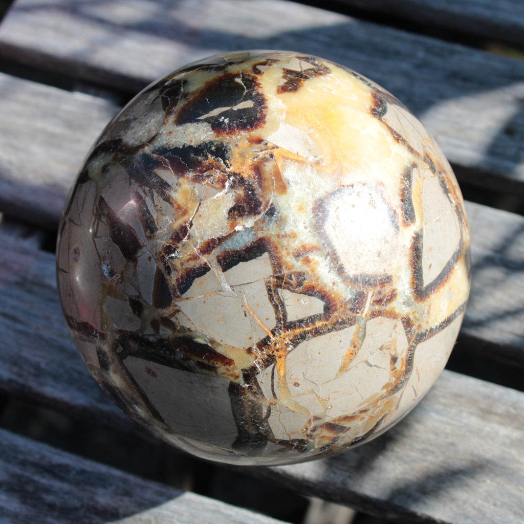 Septarian Dragon Stone sphere 1890g SALE Rocks and Things
