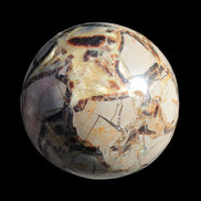 Septarian Dragon Stone sphere 1890g in sunlight -  Rocks and Things Store
