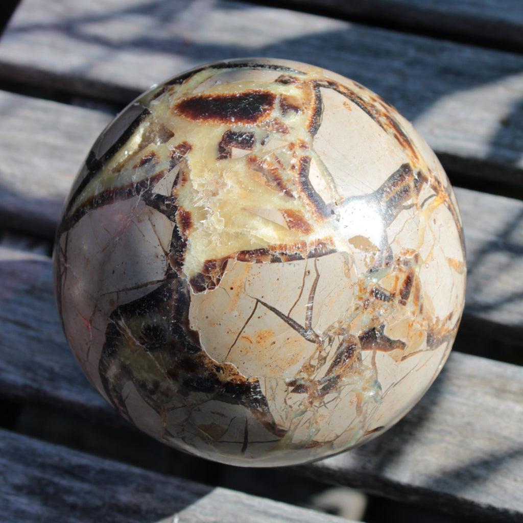 Septarian Dragon Stone sphere 1890g SALE Rocks and Things