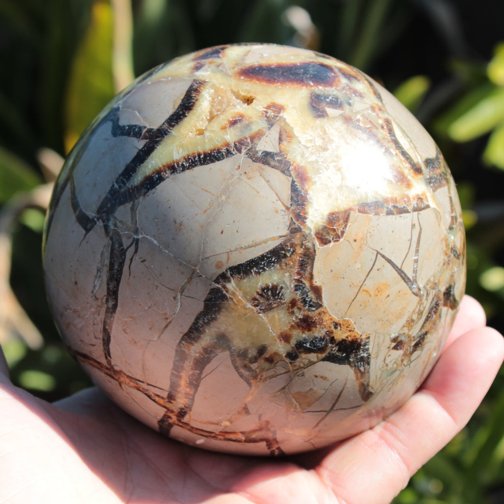 Septarian Dragon Stone sphere 1890g SALE Rocks and Things