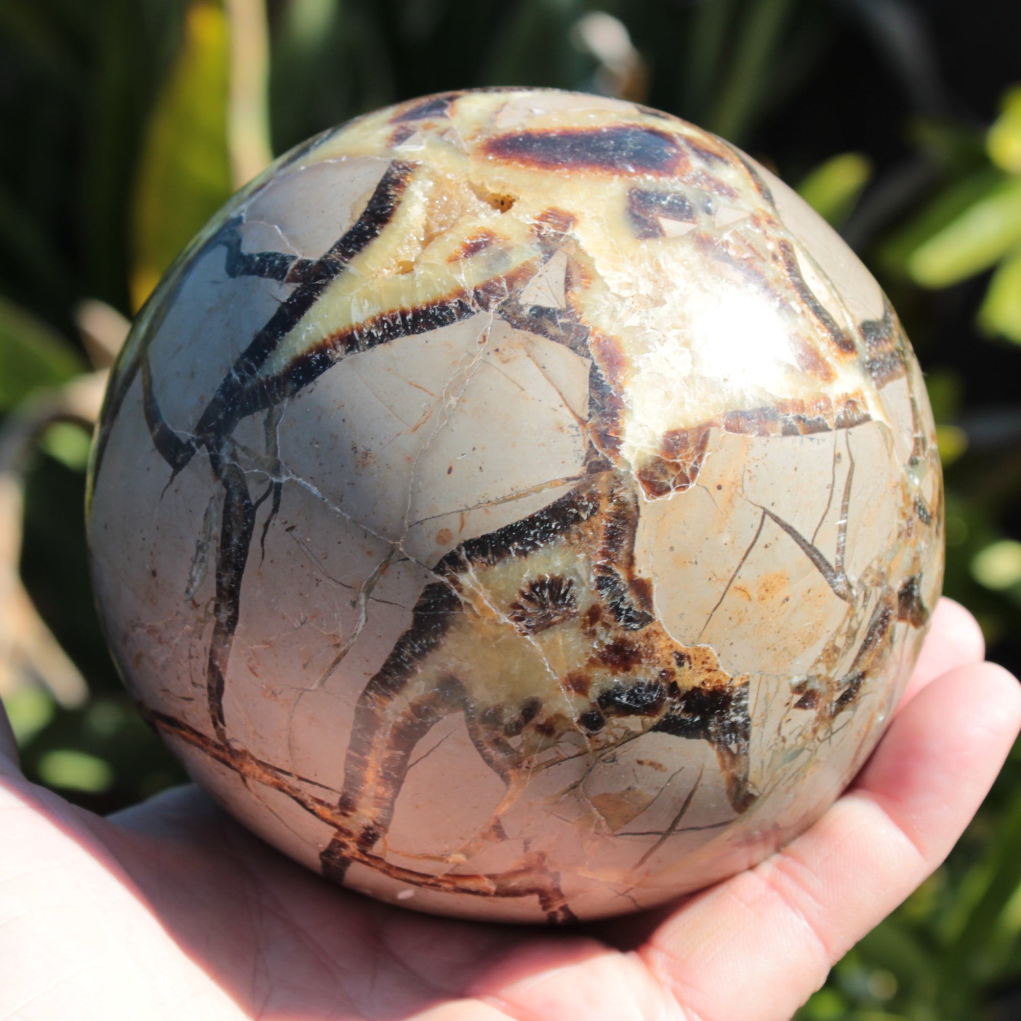 Septarian Dragon Stone sphere 1890g SALE Rocks and Things