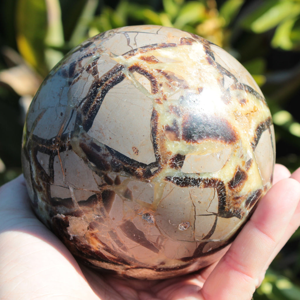 Septarian Dragon Stone sphere 1890g SALE Rocks and Things