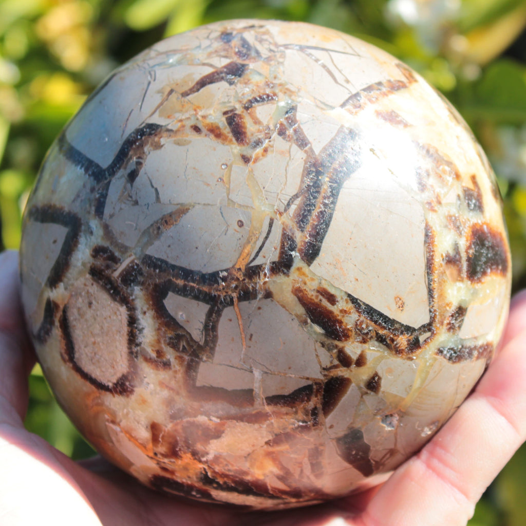 Septarian Dragon Stone sphere 1890g SALE Rocks and Things