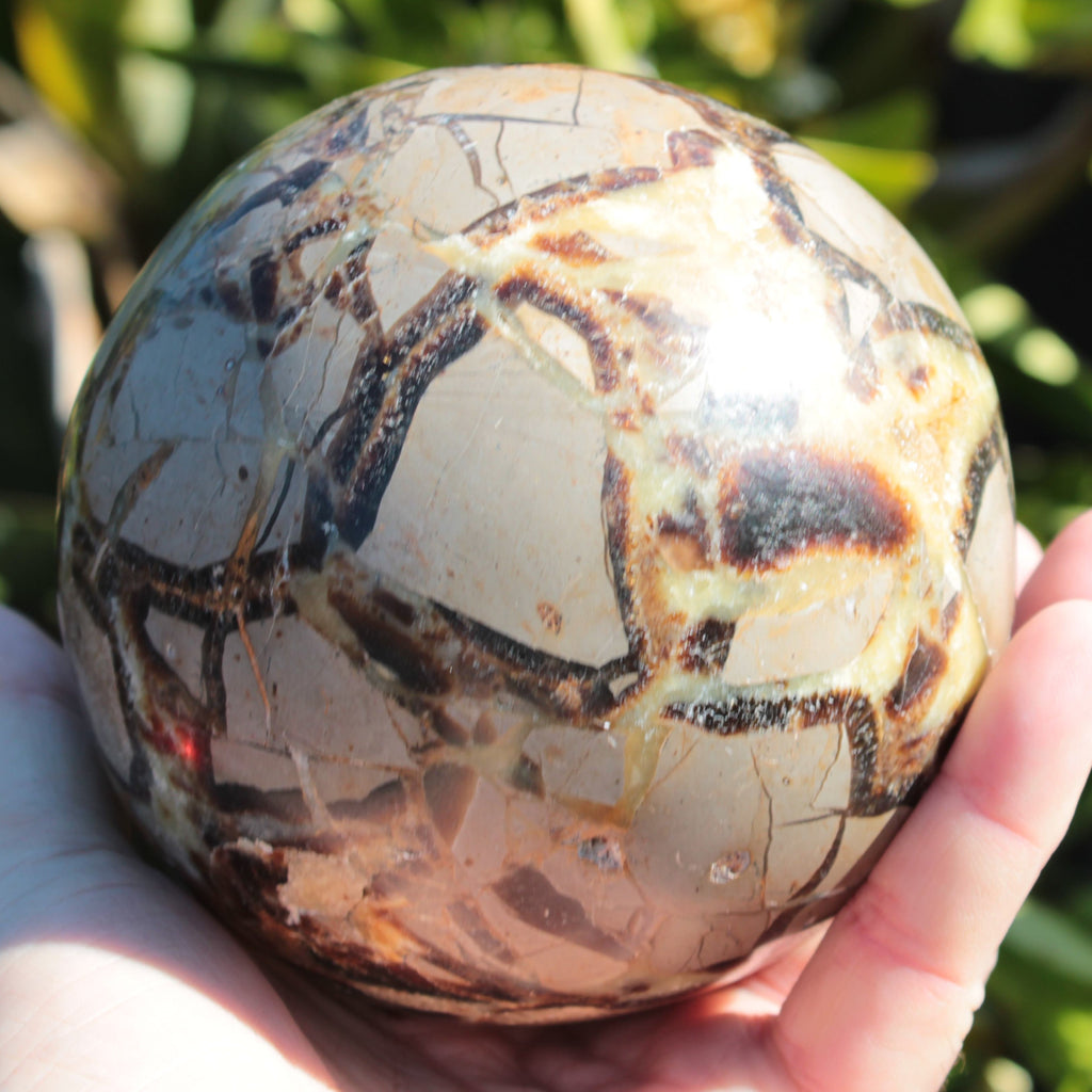 Septarian Dragon Stone sphere 1890g SALE Rocks and Things