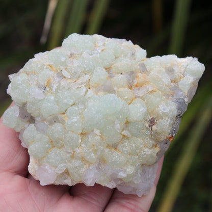 Green Prehnite with Quartz complex natural crystal cluster specimen from Guizhou, China 203g Rocks and Things