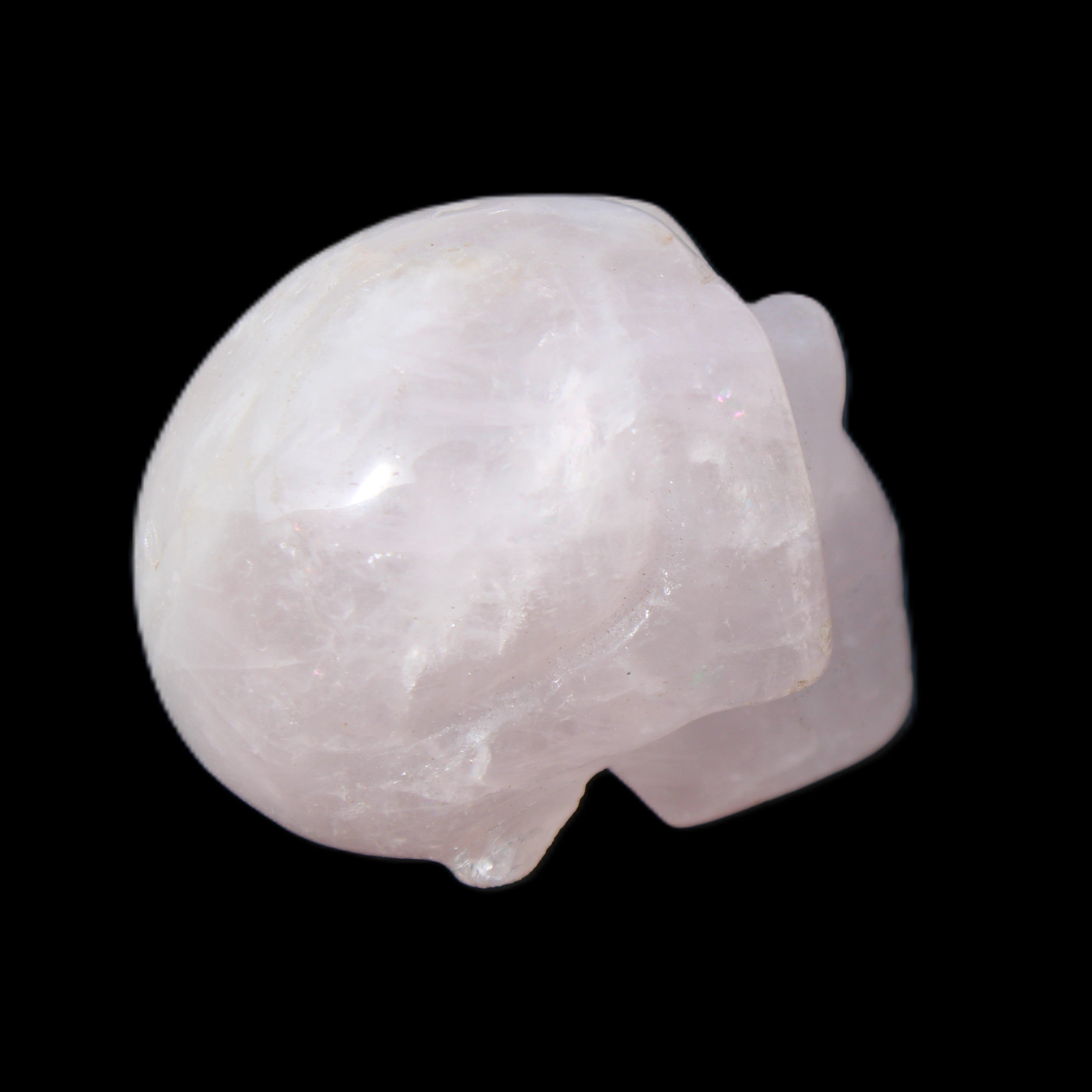 Rose Quartz hand-carved skull 51g in sunlight - Rocks and Things Store