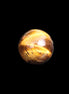 Tigers Eye small sphere 20mm 13g in sunlight - Rocks and Things Store