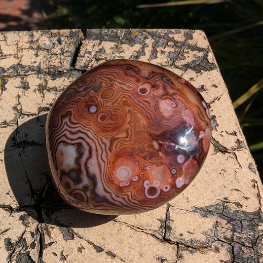 Crazy Silk Banded Agate from Madagascar 40.8g Rocks and Things