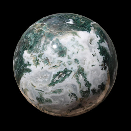 OceanMosssphere-