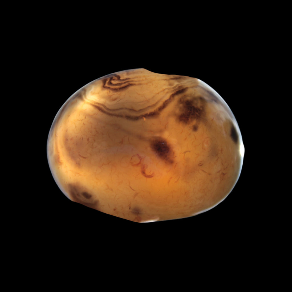 Crazy Silk Banded Agate from Madagascar 51g in sunlight - Rocks and Things Store