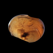 Crazy Silk Banded Agate from Madagascar 51g in sunlight - Rocks and Things Store