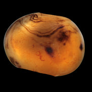 Crazy Silk Banded Agate from Madagascar 51g in sunlight - Rocks and Things Store