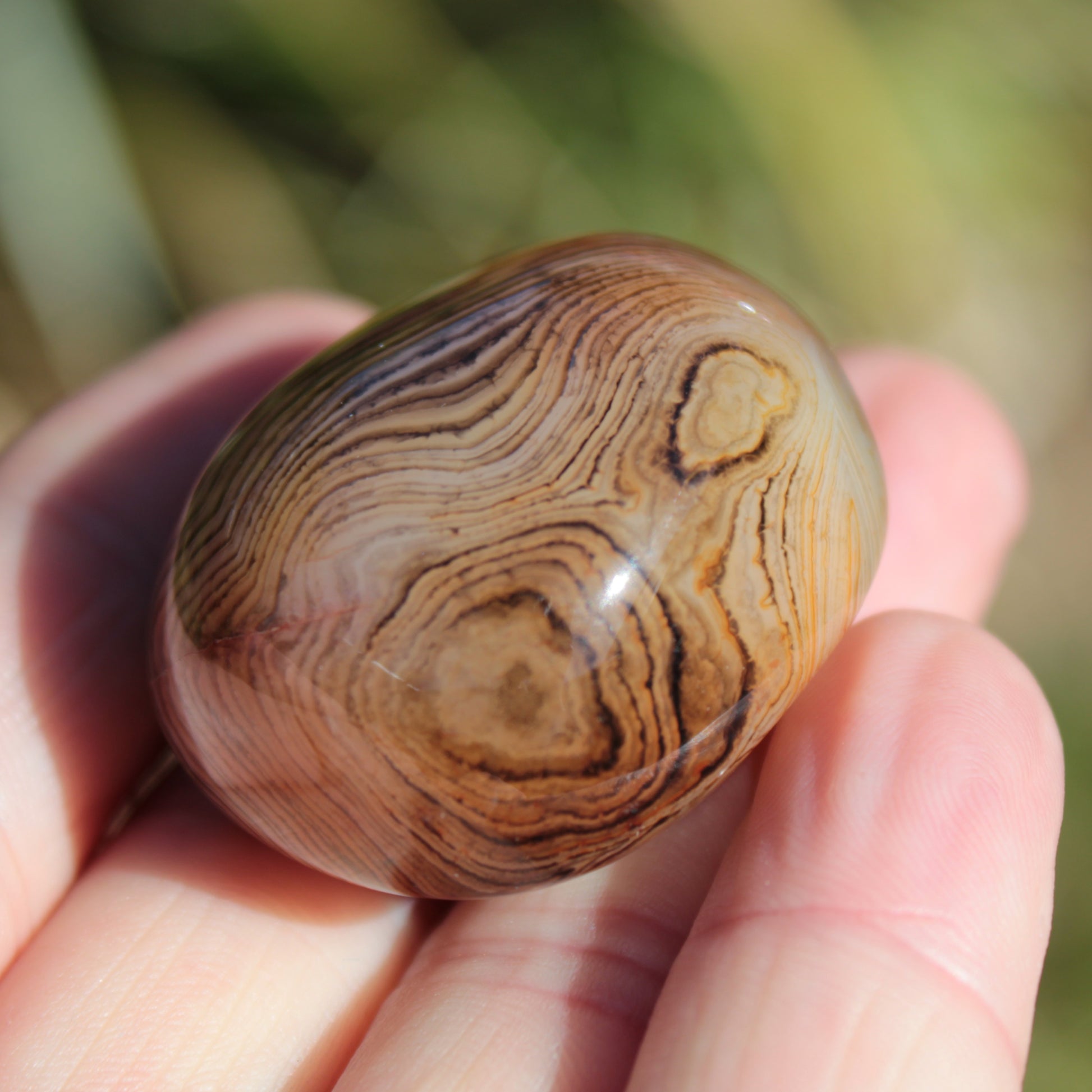 Crazy Silk Banded Agate from Madagascar 43g Rocks and Things