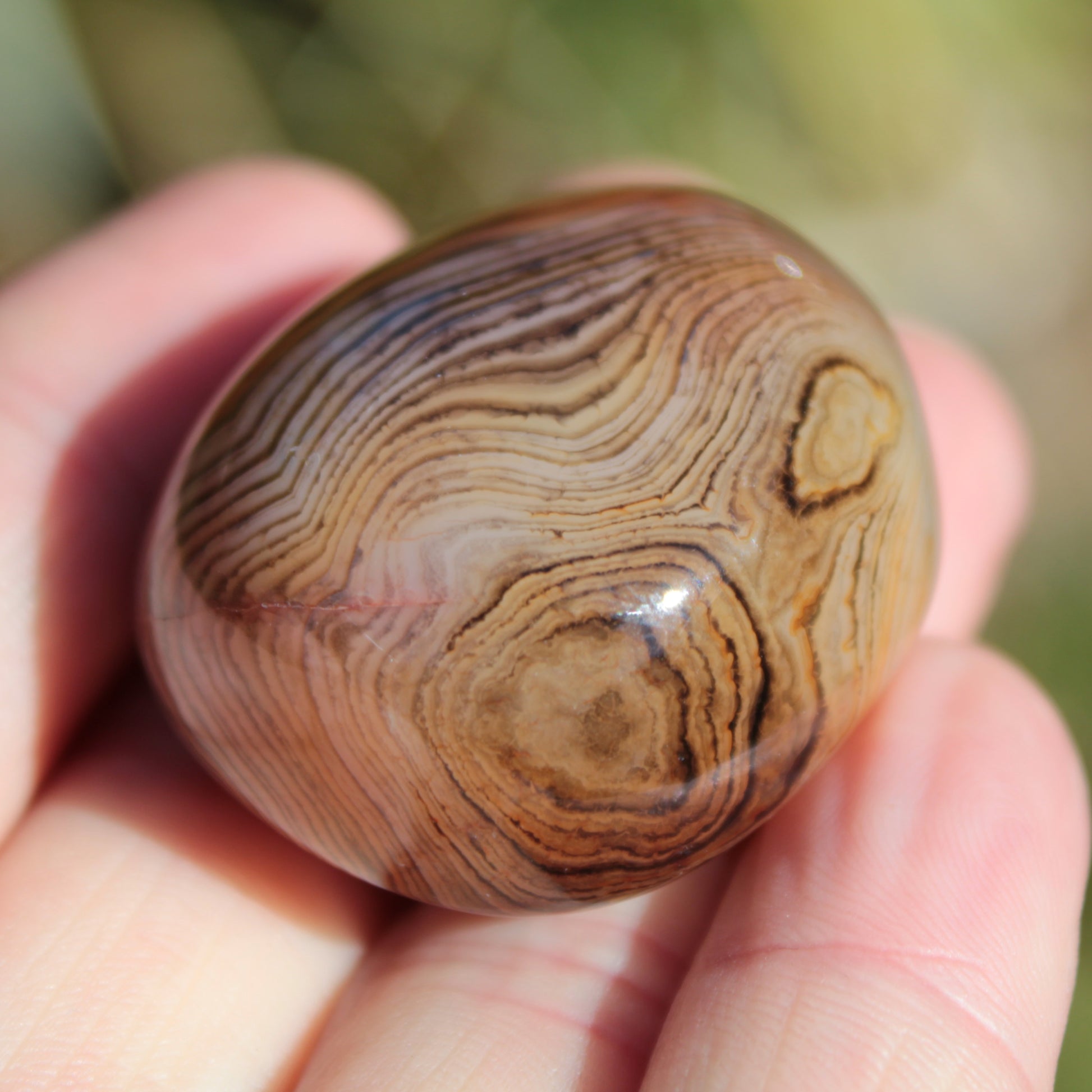 Crazy Silk Banded Agate from Madagascar 43g Rocks and Things