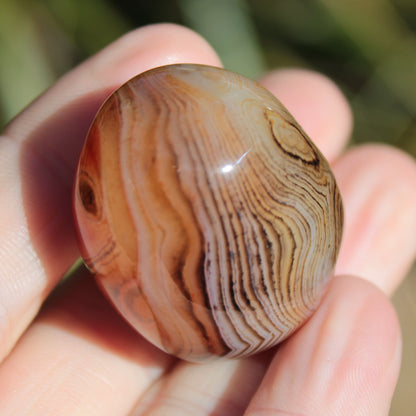 Crazy Silk Banded Agate from Madagascar 43g Rocks and Things