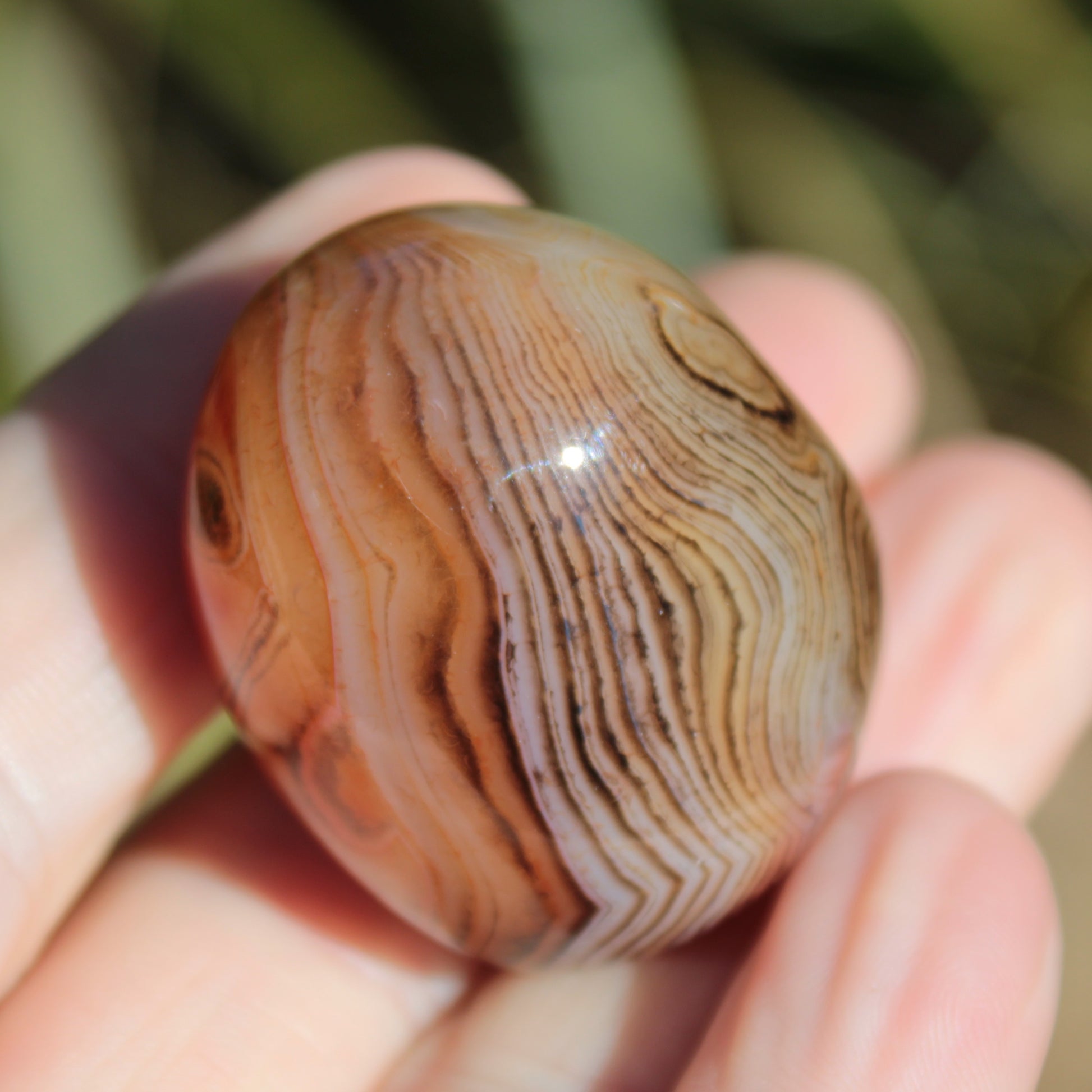 Crazy Silk Banded Agate from Madagascar 43g Rocks and Things