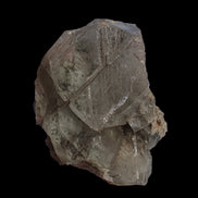 Transparent Quartz cluster on matrix from Skardu, Pakistan 639ct 127g in sunlight - Rocks and Things Store