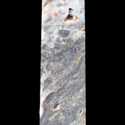 Sphalerite drusy geode obelisk 1960g in sunlight - Rocks and Things Store