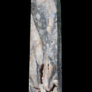 Sphalerite drusy geode obelisk 1490g in sunlight - Rocks and Things Store