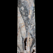 Sphalerite drusy geode obelisk 1490g in sunlight - Rocks and Things Store