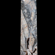 Sphalerite drusy geode obelisk 1490g in sunlight - Rocks and Things Store