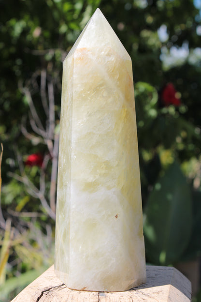 Citrine obelisk 1130g Rocks and Things