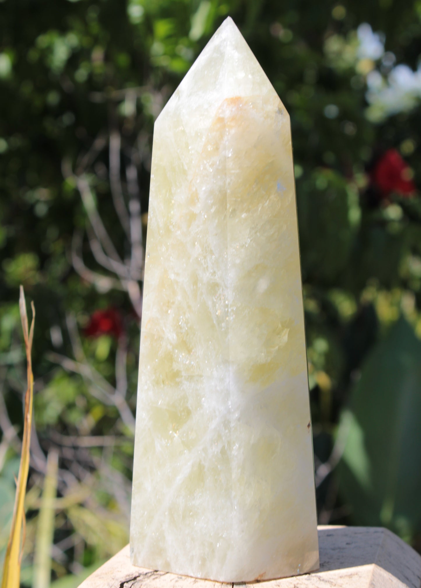 Citrine obelisk 1130g Rocks and Things