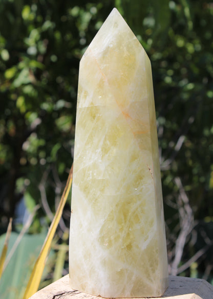 Citrine obelisk 1130g Rocks and Things