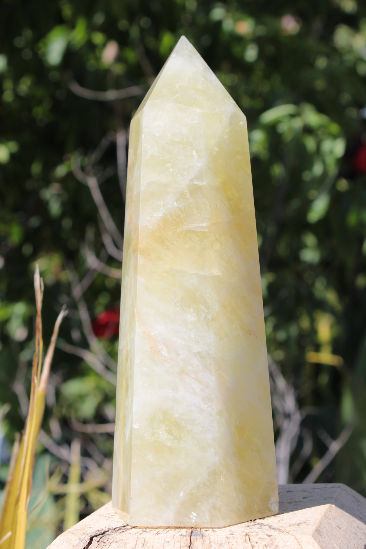 Citrine obelisk 1130g Rocks and Things