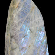 Purple flash Labradorite 433g - Rocks and Things Store