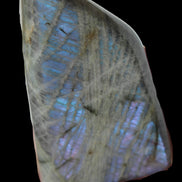 Purple flash Labradorite 433g Rocks and Things