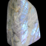 Purple flash Labradorite 433g in sunlight - Rocks and Things Store