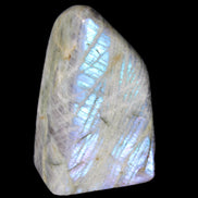 Purple flash Labradorite 433g in sunlight - Rocks and Things Store