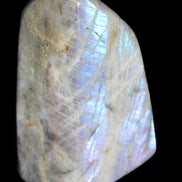 Purple flash Labradorite 433g in sunlight - Rocks and Things Store