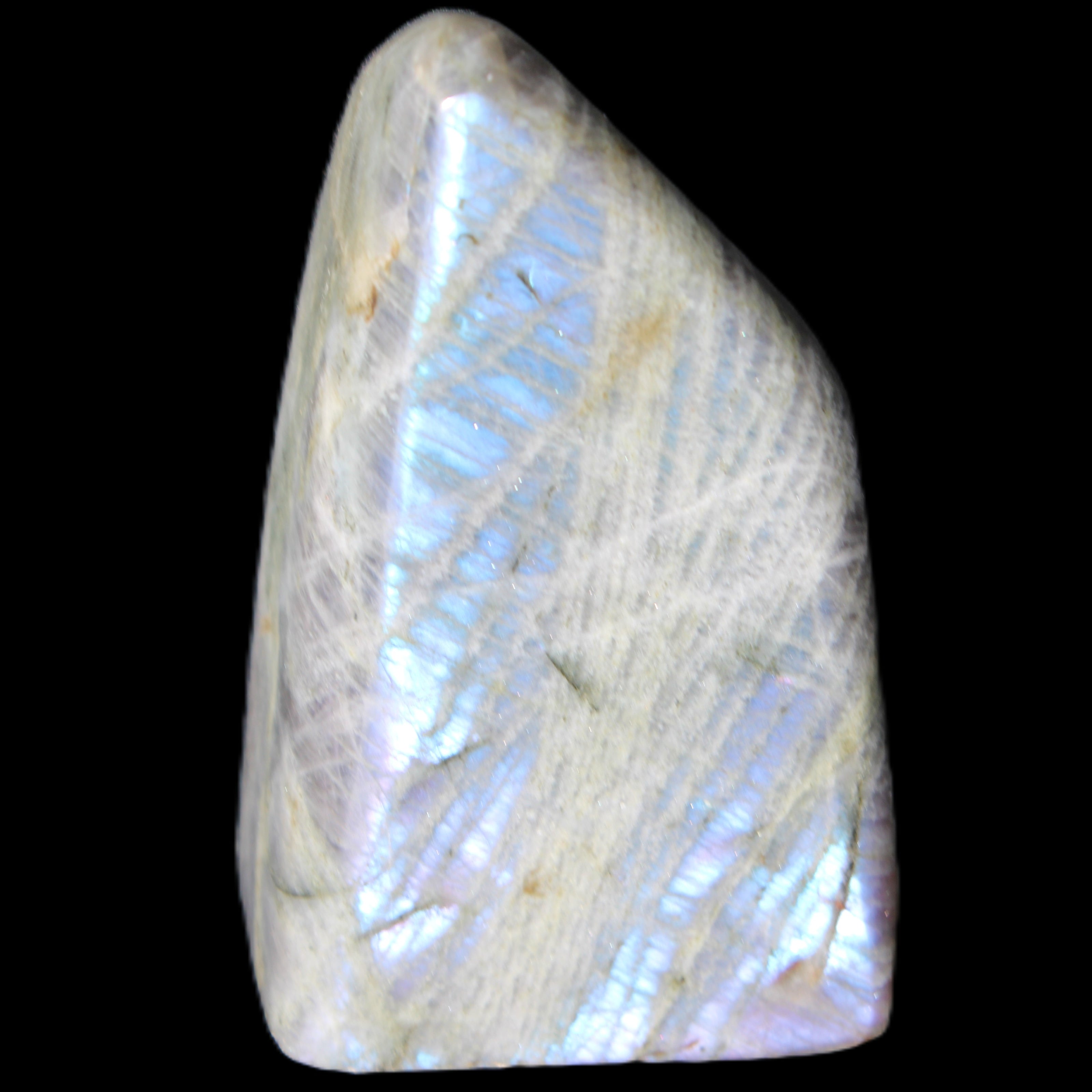 Purple flash Labradorite 433g in sunlight - Rocks and Things Store