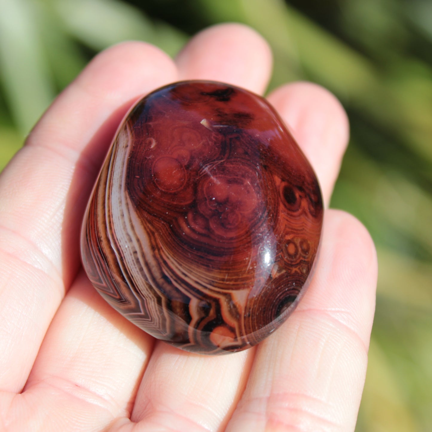 Crazy Silk Banded Agate from Madagascar 50g Rocks and Things