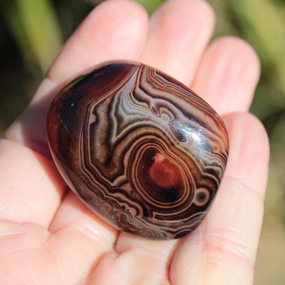 Crazy Silk Banded Agate from Madagascar 50g Rocks and Things