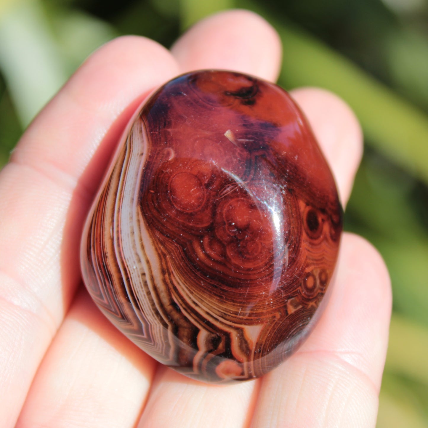 Crazy Silk Banded Agate from Madagascar 50g Rocks and Things