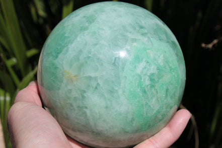 Green Fluorite sphere 3164g in sunlight, Rocks and Things Store