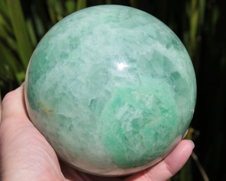 Green Fluorite sphere 3164g in sunlight, Rocks and Things Store