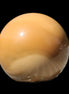 Mookaite sphere 245g in sunlight - Rocks and Things Store