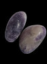 Lilac Lepidolite 2 tumble polished stones 14-15g in sunlight - Rocks and Things Store