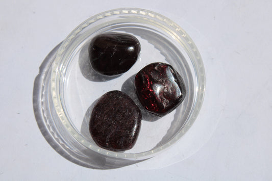 Garnet 2/3 polished crystals 6-7g Rocks and Things