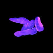 Aquamarine 4 polished crystals 4g in UV light - Rocks and Things Store